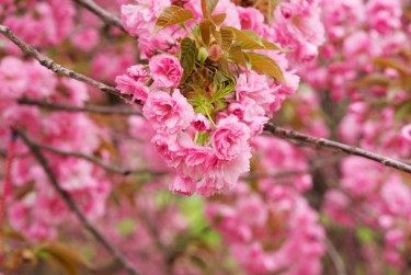 常州钟楼区8线下个人借款平台一站式服务，轻松解决资金难题