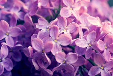 常州钟楼区8企业急用钱贷款攻略：快速融资解燃眉之急